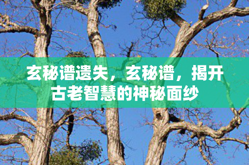 玄秘谱遗失，玄秘谱，揭开古老智慧的神秘面纱