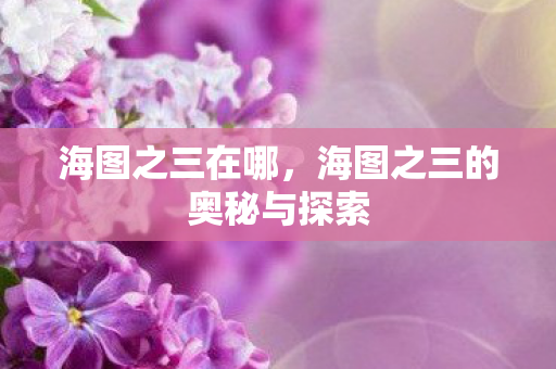 海图之三在哪，海图之三的奥秘与探索
