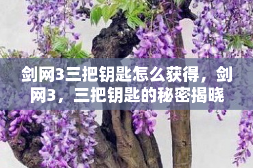 剑网3三把钥匙怎么获得，剑网3，三把钥匙的秘密揭晓