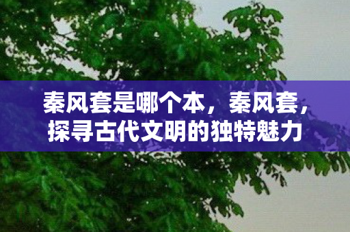 秦风套是哪个本，秦风套，探寻古代文明的独特魅力