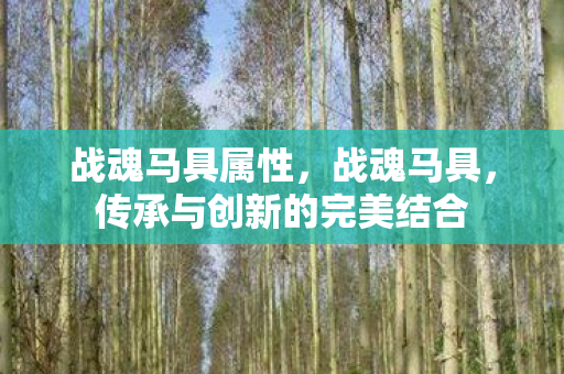 战魂马具属性，战魂马具，传承与创新的完美结合
