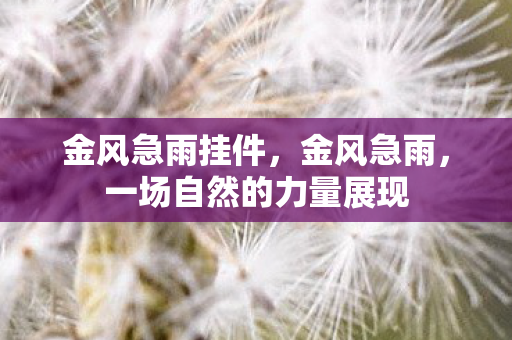 金风急雨挂件，金风急雨，一场自然的力量展现