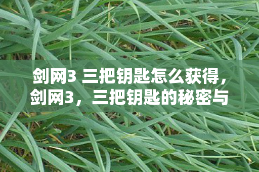 剑网3 三把钥匙怎么获得，剑网3，三把钥匙的秘密与故事