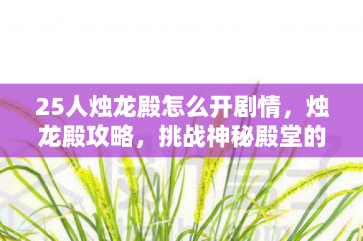 25人烛龙殿怎么开剧情，烛龙殿攻略，挑战神秘殿堂的指南