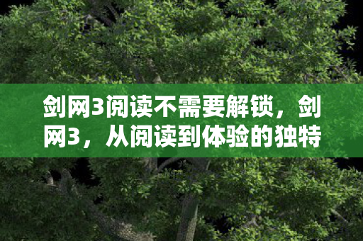 剑网3阅读不需要解锁，剑网3，从阅读到体验的独特魅力之旅