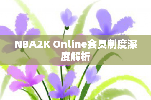NBA2K Online会员制度深度解析