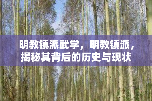 明教镇派武学，明教镇派，揭秘其背后的历史与现状