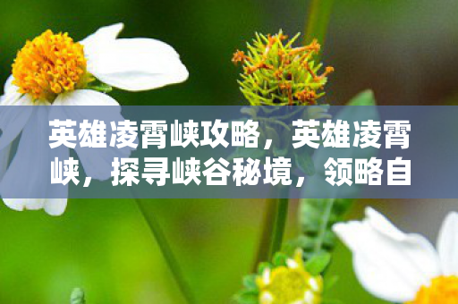 英雄凌霄峡攻略，英雄凌霄峡，探寻峡谷秘境，领略自然魅力