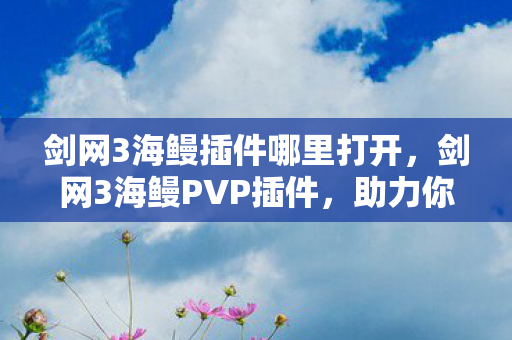 剑网3海鳗插件哪里打开，剑网3海鳗PVP插件，助力你的PVP之路