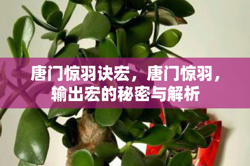 唐门惊羽诀宏，唐门惊羽，输出宏的秘密与解析