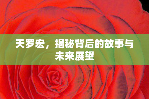 天罗宏，揭秘背后的故事与未来展望