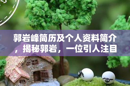 郭岩峰简历及个人资料简介，揭秘郭岩，一位引人注目的公众人物