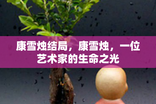 康雪烛结局，康雪烛，一位艺术家的生命之光