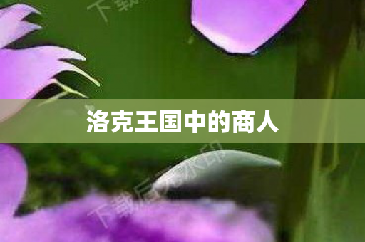 洛克王国中的商人