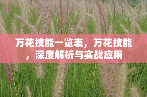 万花技能一览表，万花技能，深度解析与实战应用