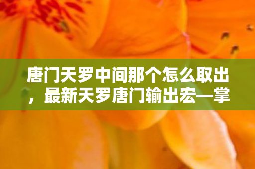 唐门天罗中间那个怎么取出，最新天罗唐门输出宏—掌握核心技巧，轻松提升战斗力