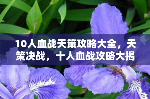 10人血战天策攻略大全，天策决战，十人血战攻略大揭秘