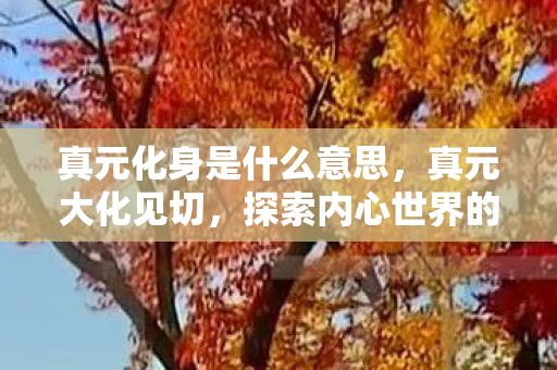 真元化身是什么意思，真元大化见切，探索内心世界的奥秘之旅