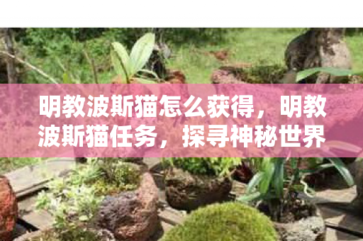 明教波斯猫怎么获得，明教波斯猫任务，探寻神秘世界的奇幻之旅