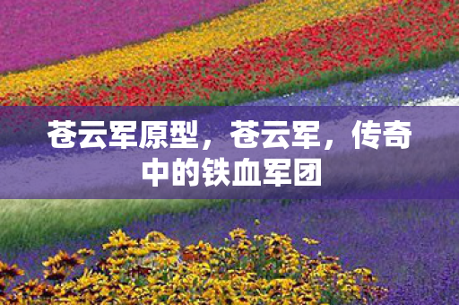 苍云军原型，苍云军，传奇中的铁血军团
