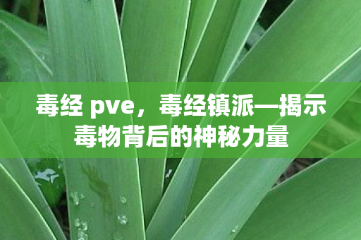 毒经 pve，毒经镇派—揭示毒物背后的神秘力量