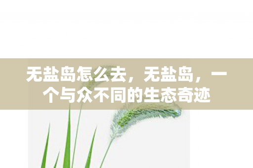 无盐岛怎么去，无盐岛，一个与众不同的生态奇迹