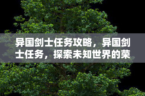 异国剑士任务攻略，异国剑士任务，探索未知世界的荣耀与挑战