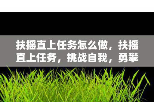 扶摇直上任务怎么做，扶摇直上任务，挑战自我，勇攀高峰