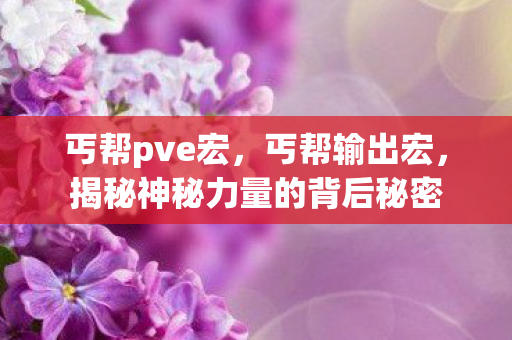 丐帮pve宏，丐帮输出宏，揭秘神秘力量的背后秘密