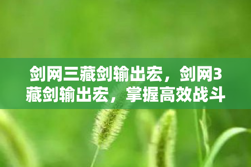 剑网三藏剑输出宏，剑网3藏剑输出宏，掌握高效战斗技巧