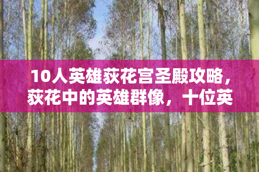 10人英雄荻花宫圣殿攻略，荻花中的英雄群像，十位英雄的风采与故事