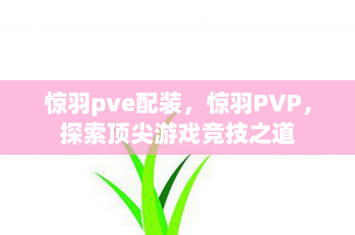 惊羽pve配装，惊羽PVP，探索顶尖游戏竞技之道
