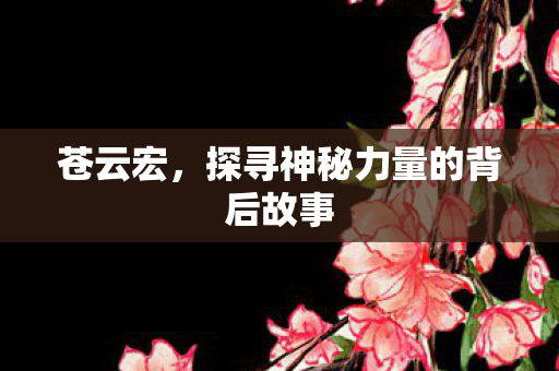 苍云宏，探寻神秘力量的背后故事