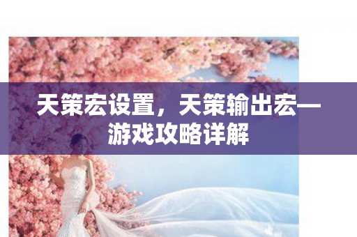 天策宏设置，天策输出宏—游戏攻略详解