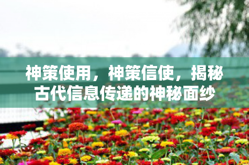 神策使用，神策信使，揭秘古代信息传递的神秘面纱