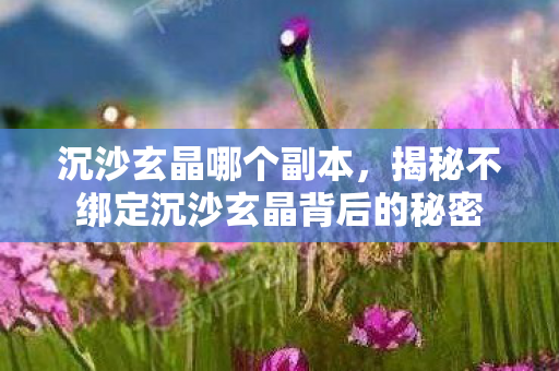 沉沙玄晶哪个副本，揭秘不绑定沉沙玄晶背后的秘密