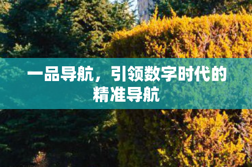 一品导航，引领数字时代的精准导航