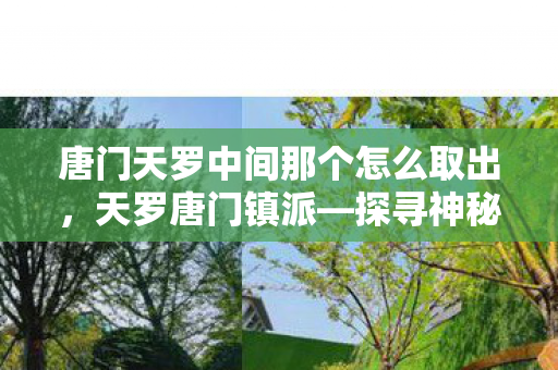 唐门天罗中间那个怎么取出，天罗唐门镇派—探寻神秘力量的源头