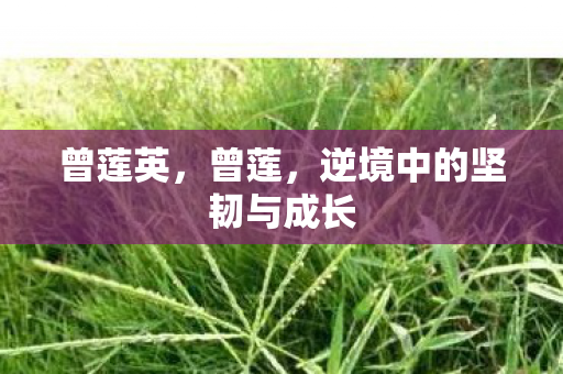 曾莲英，曾莲，逆境中的坚韧与成长