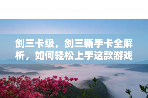 剑三卡级，剑三新手卡全解析，如何轻松上手这款游戏？