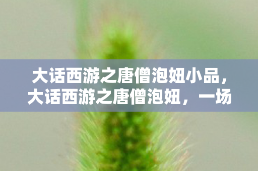 大话西游之唐僧泡妞小品，大话西游之唐僧泡妞，一场跨越神话与现实的情感之旅