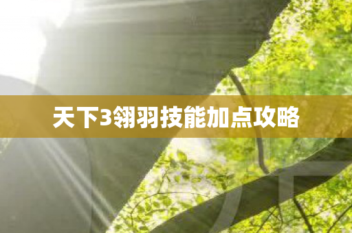 天下3翎羽技能加点攻略