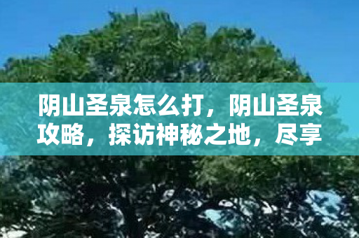 阴山圣泉怎么打，阴山圣泉攻略，探访神秘之地，尽享自然之美