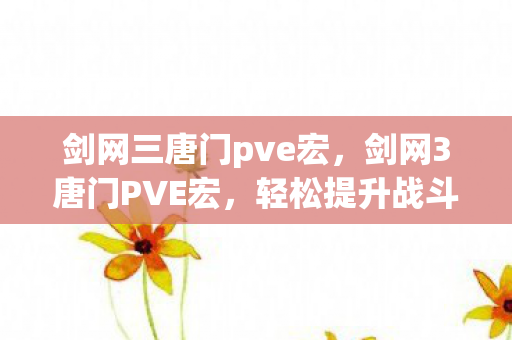 剑网三唐门pve宏，剑网3唐门PVE宏，轻松提升战斗效率的秘密武器