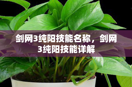 剑网3纯阳技能名称，剑网3纯阳技能详解