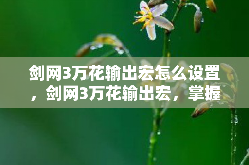 剑网3万花输出宏怎么设置，剑网3万花输出宏，掌握核心技巧，轻松提升战斗效率