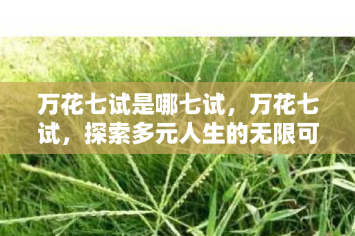 万花七试是哪七试，万花七试，探索多元人生的无限可能