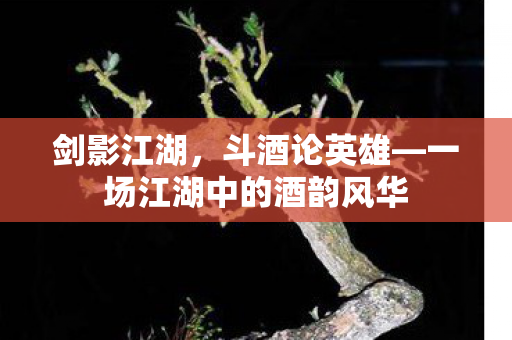 剑影江湖，斗酒论英雄—一场江湖中的酒韵风华