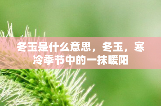 冬玉是什么意思，冬玉，寒冷季节中的一抹暖阳