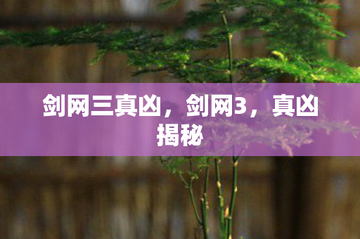 剑网三真凶，剑网3，真凶揭秘